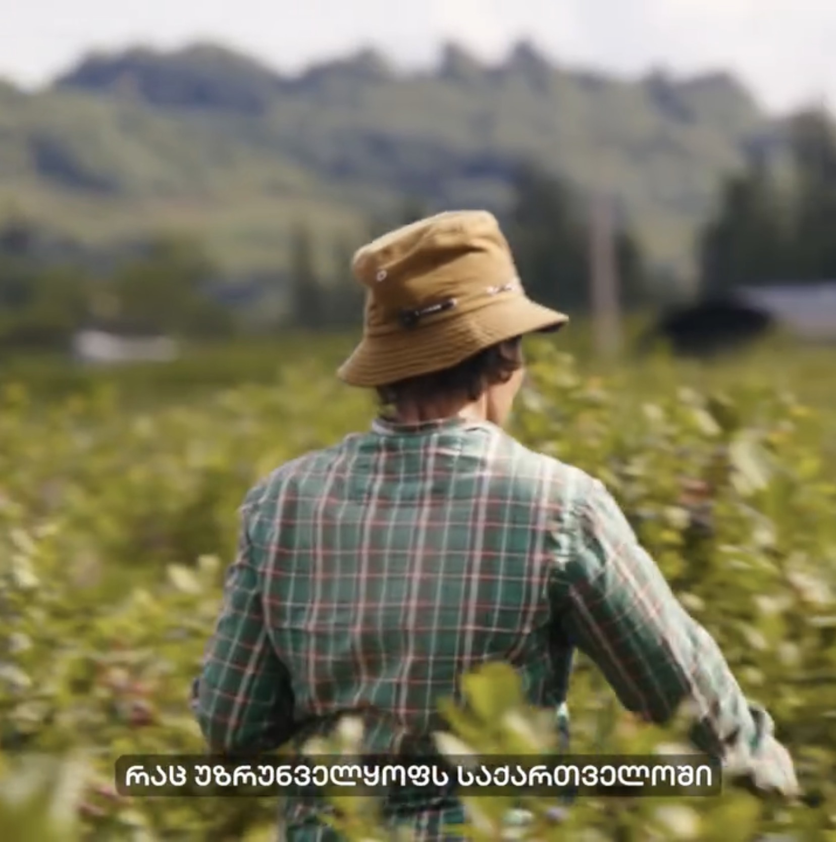 Agribusiness - Image 3